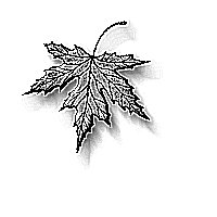 image11t.gif (11436 bytes)